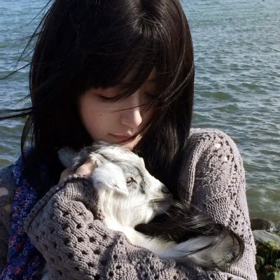 空中浩劫第十三季