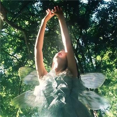 直到天空迎来太阳